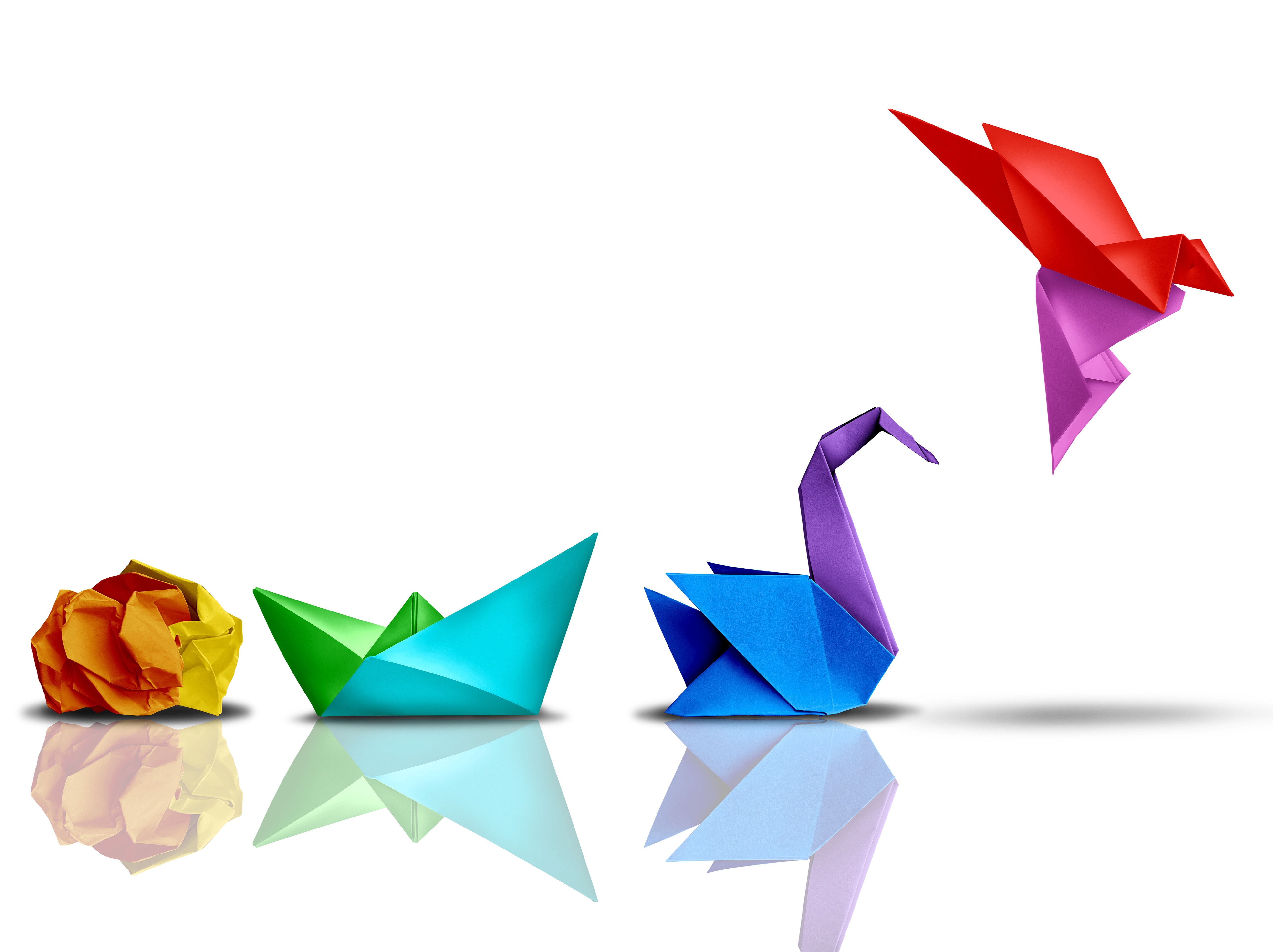  Menicon America: Innovating Contact Lenses, Inspiring a Better World Through Sustainable Business